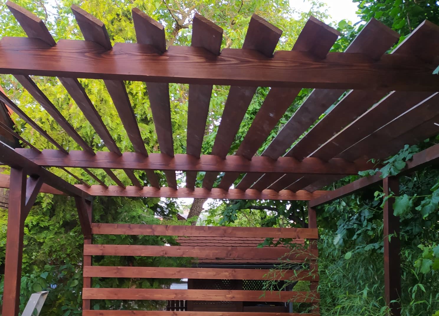 Egy pergola amit esztétikusan benőtt a növényzet